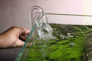 InOut Thuỷ Tinh Cho Lọc Thùng
