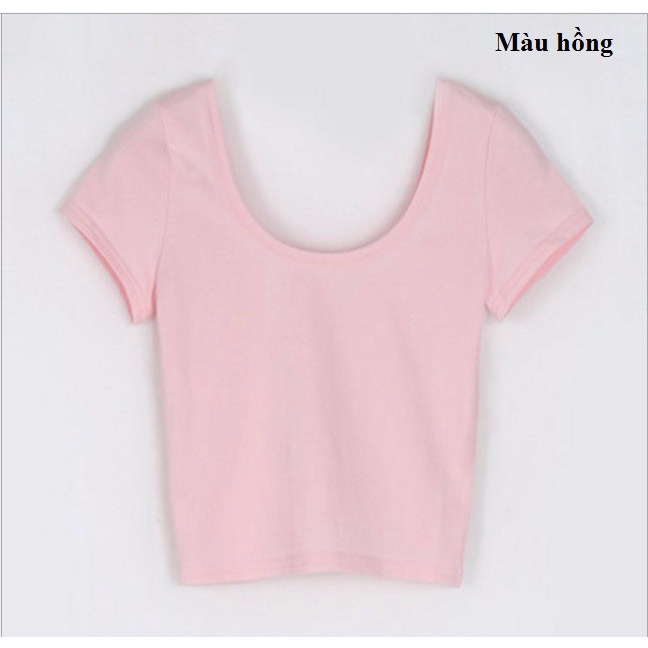 M15204 Áo thun nữ croptop ngắn tay chất cotton mềm mại cao cấp hàng nhập