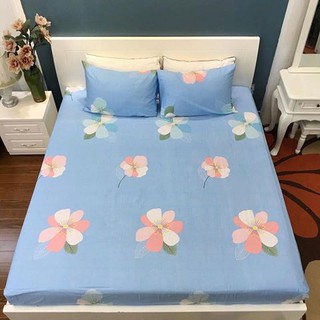 Set Chăn Ga Gối Cotton Lụa !! (Ảnh Chụp Thật)