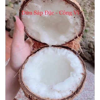 Dừa Sáp Trà Vinh - Loại Đặc Biệt Số 1