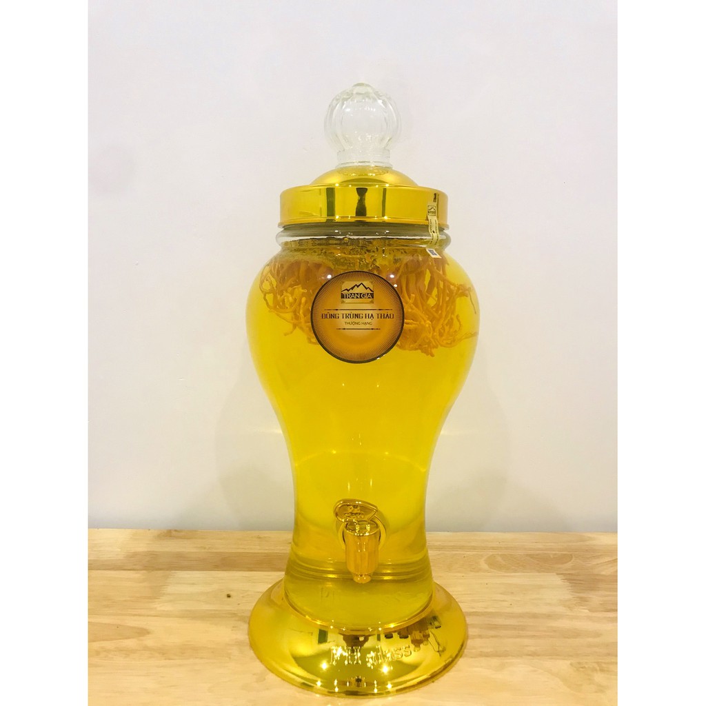Hủ ngâm rượu Cao Cấp Có vòi 3lít + Đông trùng hạ thảo tươi 100g