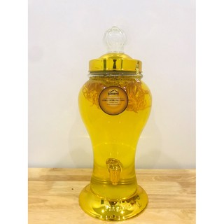 Hủ ngâm rượu Cao Cấp Có vòi 3lít + Đông trùng hạ thảo tươi 100g