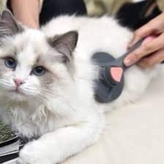 Lược chải lấy lông chó mèo Pakeway