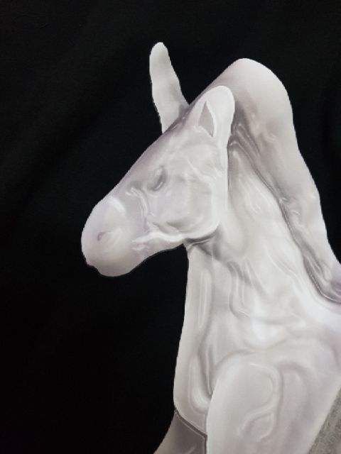 Áo nỉ nelly ngựa