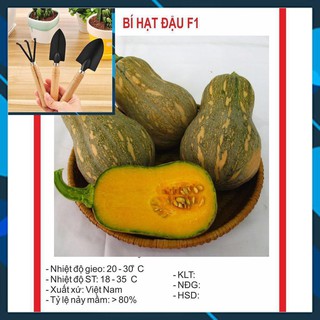 Hạt giống Bí Hạt Đậu 10 Hạt TẶNG BỘ LÀM VƯƠN MINI