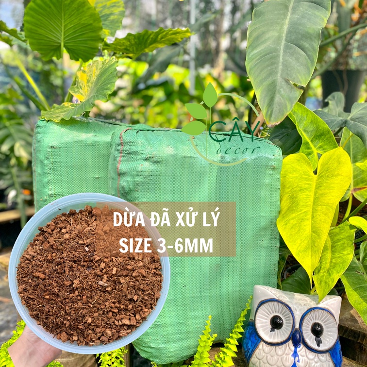 Kiện dừa cục ĐÃ XỬ LÝ CHUẨN EC, đa dạng kích thước, 10-12kg, an toàn cho phong lan, kiểng lá