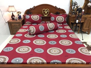 Bộ drap thun Hàn quốc