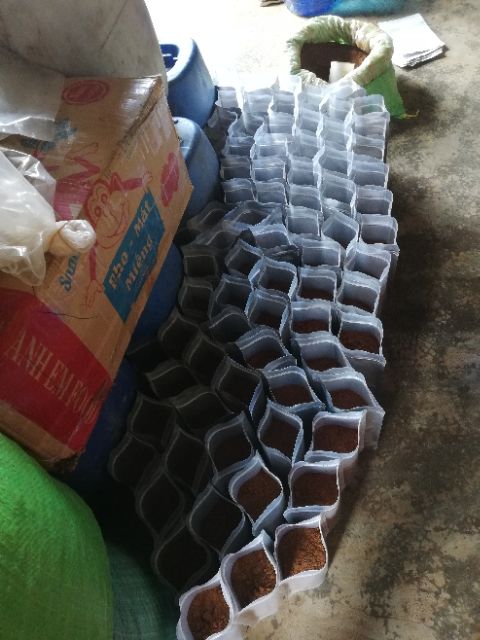 500G CÀ PHÊ SẠCH ĐĂK LĂK RANG MỘC