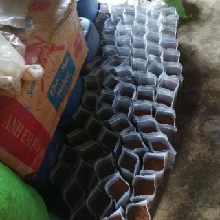 Cà phê sạch nguyên chất Đăk Lăk rang mộc 500g