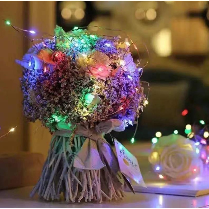 1M Dây đèn led trang trí - 3 chế độ nháy.