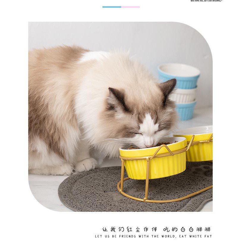 Bát ăn đôi cho mèo, Bát bằng sứ kèm chân đế sắt tai mèo