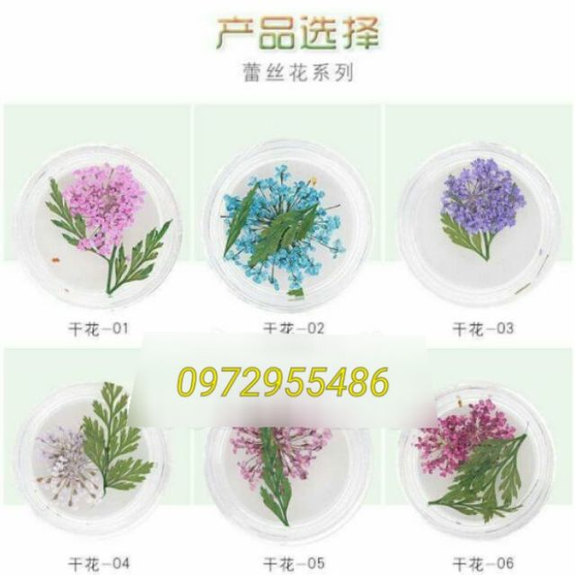 Hoa lụa hoa chùm khô