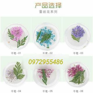Hoa lụa hoa chùm khô