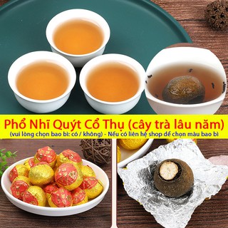 Trà Phổ Nhĩ Quýt Cổ Thụ - 1 Viên Dùng Thử