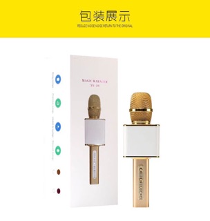 Mic YS 10