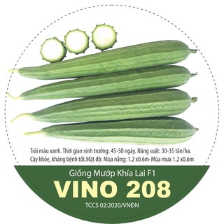 Hạt giống mướp khía lai F1 VINO 208 năng suất dễ trồng