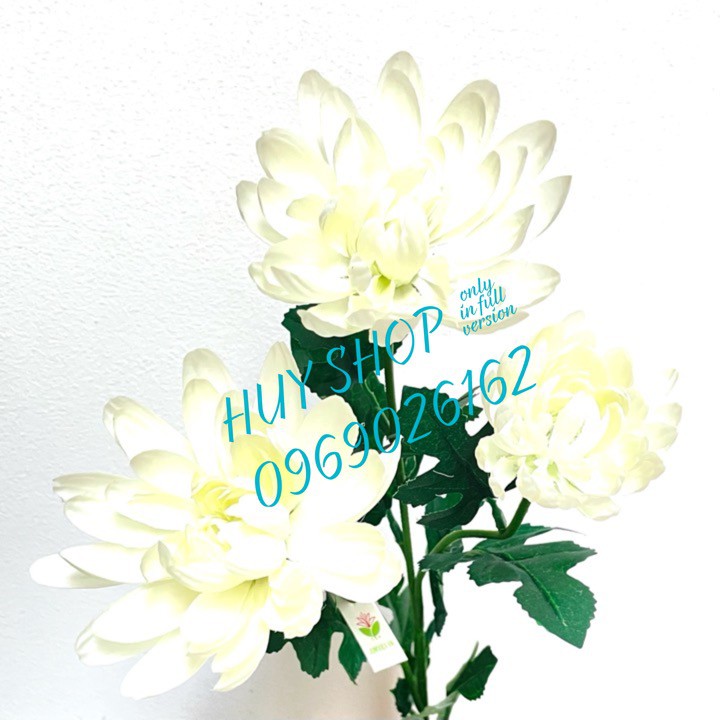 Hoa giả trang trí - Cành HOA CÚC 3 Bông  Vải cao cấp