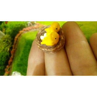 tổ chim mini. Sỉ vui lòng ibx shop báo giá