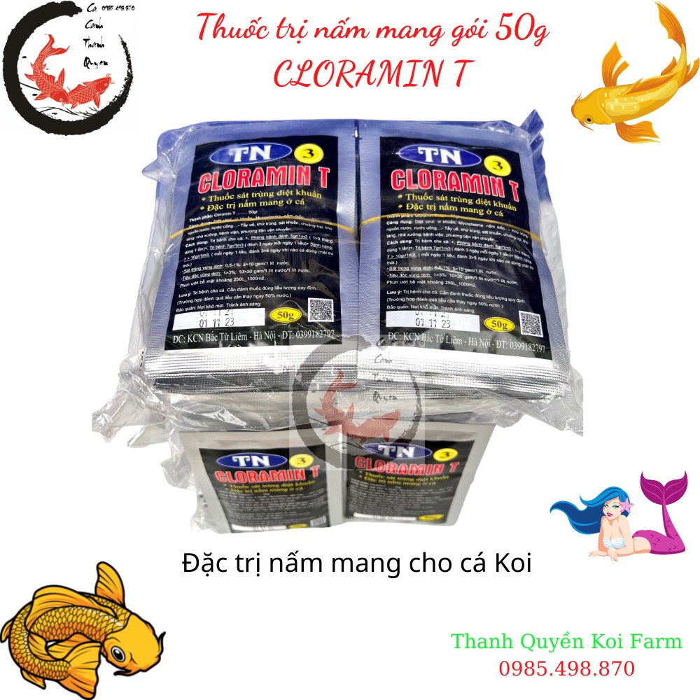 CLORAMIN T - Thuốc chữa nấm mang các loại cá Koi, cá cảnh