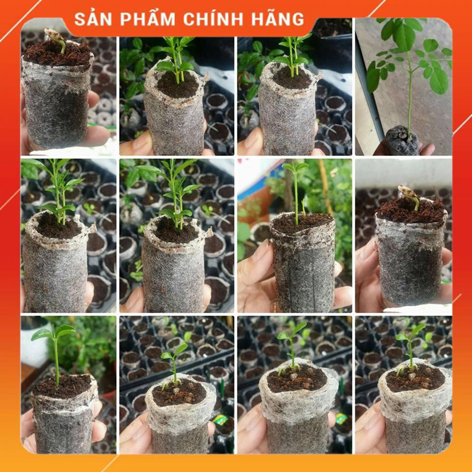 Viên nén ươm cây, Viên nén ươm hạt trồng cây, Viên nén xơ dừa MSP84688