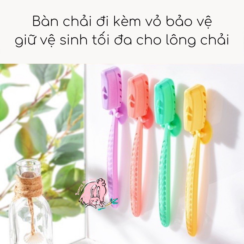 Bàn chải Wangta số 1 Hàn Quốc - Bàn chải đánh răng siêu mềm (Shop Bunny Beans)
