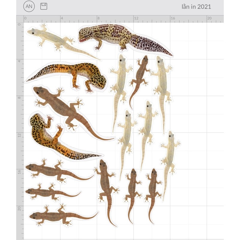 Sticker Thằn lằn dán tường - Đồ chơi cho mèo