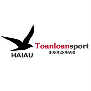 toanloansport