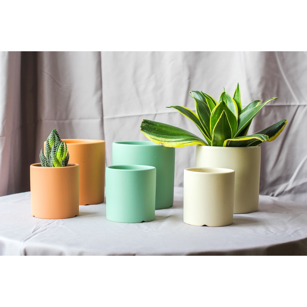 Chậu trồng cây cảnh mini để bàn