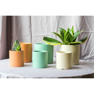 Chậu trồng cây cảnh mini để bàn