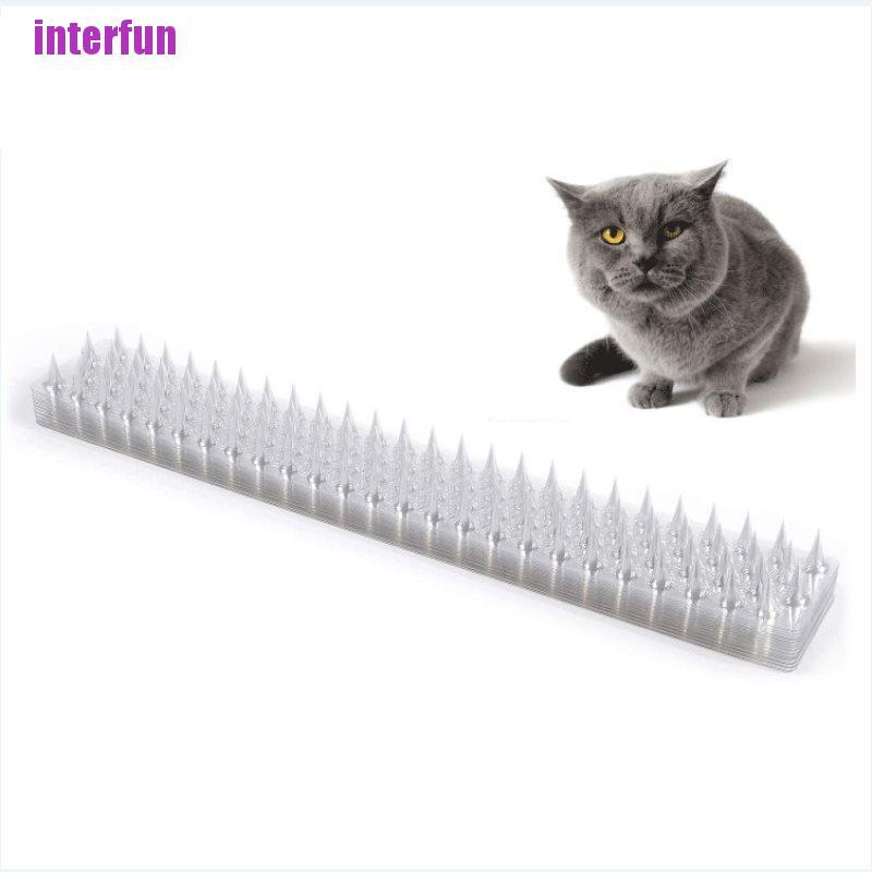 1 Móc Treo Tường Chống Trộm Hình Mèo