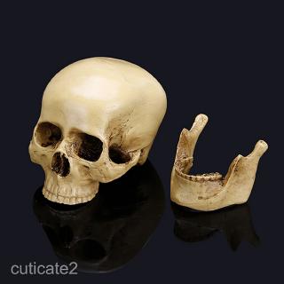 Mô hình khắc Gothic Tượng trang trí mô hình đầu người