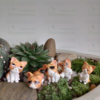 Phụ kiện trang trí tiểu cảnh Terrarium - Mèo con may mắn