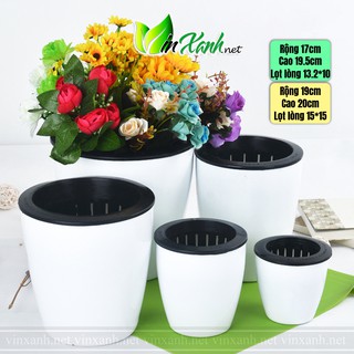 CHẬU CÂY TỰ TƯỚI TỰ DƯỠNG THÔNG MINH nhiều màu, trồng cây phong thủy để bàn