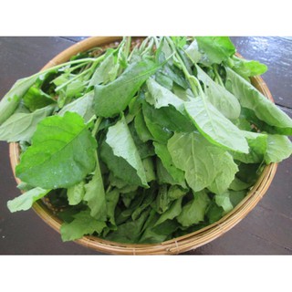 Cây Cải Trời Khô 1kg