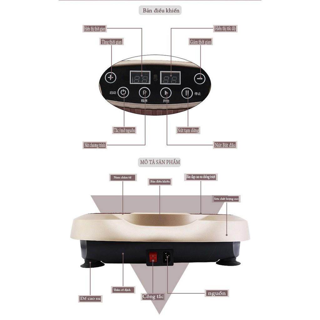 MÁY TẬP THỂ DỤC RUNG TOÀN THÂN
