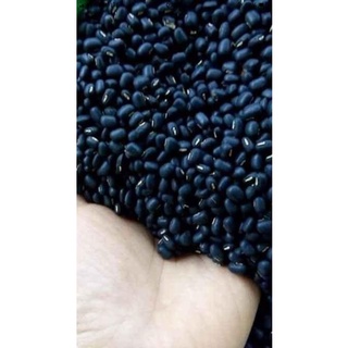 3kg đậu đen xanh lòng Lâm Đồng
