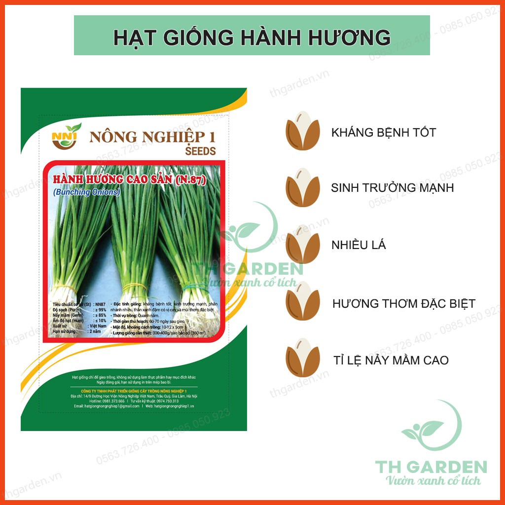 Hạt giống hành lá cao sản - Hành hương rất dễ trồng - Tỷ lệ nảy mầm cao