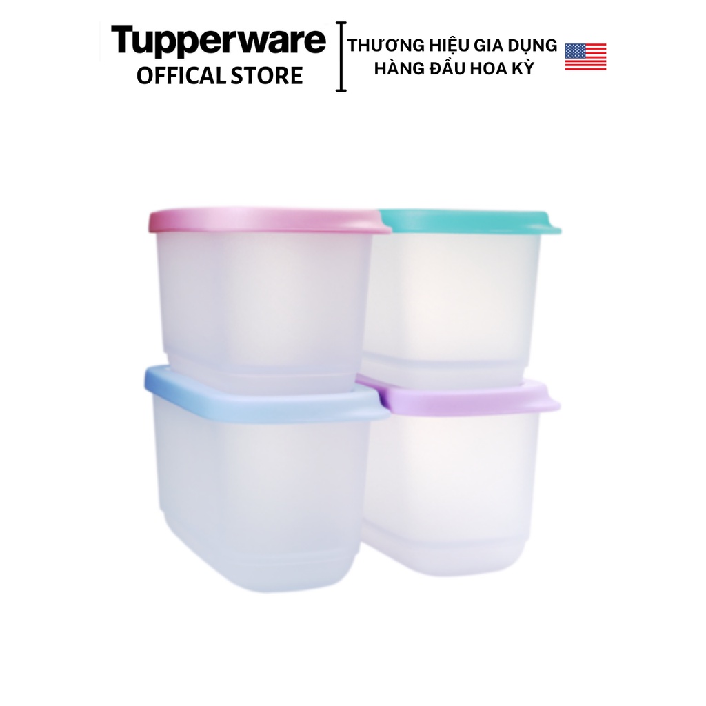 Bộ hộp Tupperware Mini Rectangular 250ml (4 hộp) - Hàng chính hãng - Bảo hành trọn đời - Nhựa nguyên sinh, an toàn