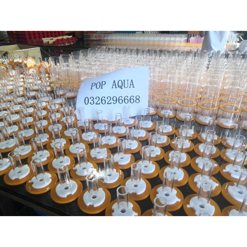 Lò khử Red Starfish