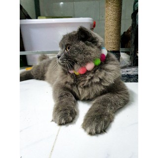 Vòng cổ cho chó mèo - trái lớn