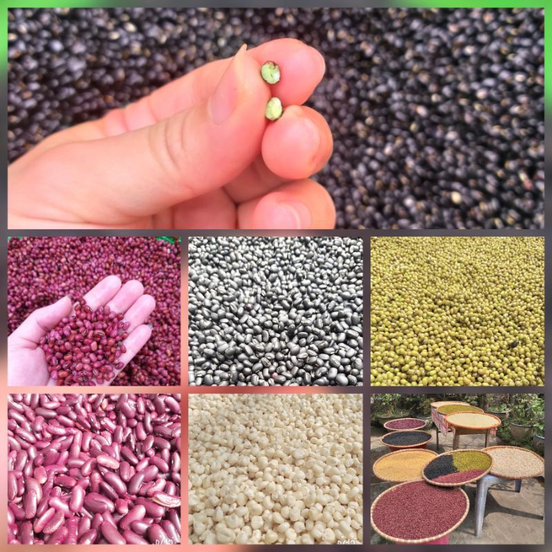 Combo hạt nghiền dinh dưỡng | BigBuy360 - bigbuy360.vn