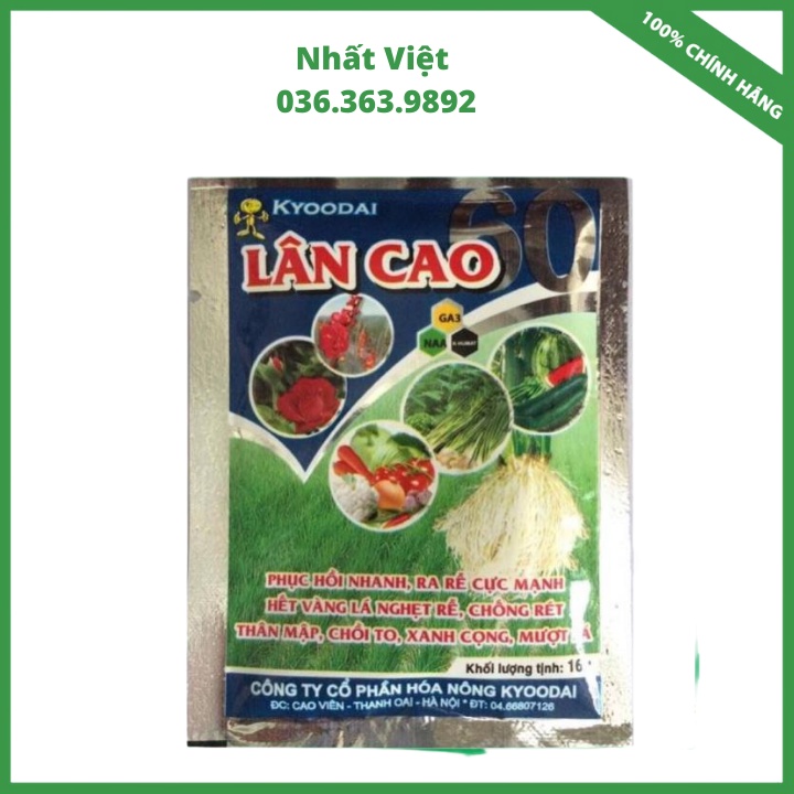 VTNN NHẤT VIỆT  Lân Cao Kích  ra hoa đồng loạt  cho hoa ,cho cây trồng