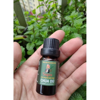 Tinh dầu chùa dù (Kinh giới rừng) 10ml