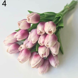 hoa chưng tết