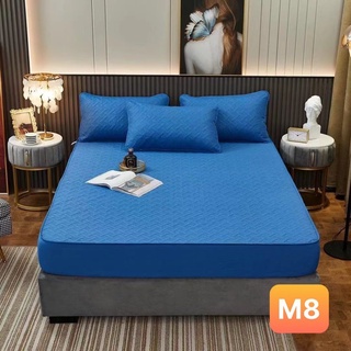 ga chống thấm cotton chun chần