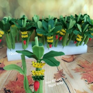 20 BỤI CHUỐI ĐẤT SÉT SIZE MINI 10cm