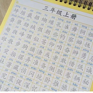 SIÊU PHẨM LUYỆN VIẾT CHỮ HÁN