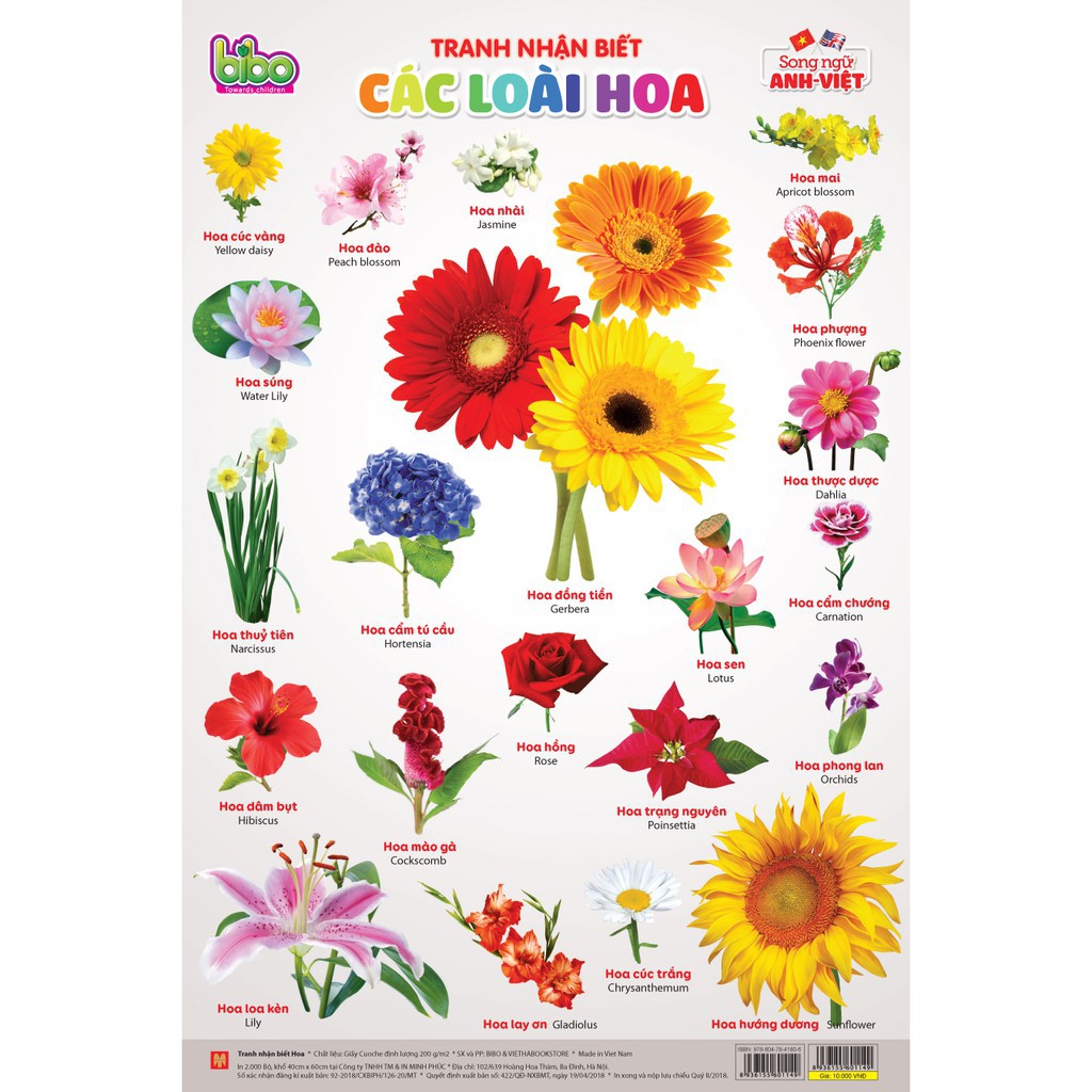 [ Gía siêu rẻ ] Cuộn tranh nhận biết Bibo (bộ 12 chủ đề)