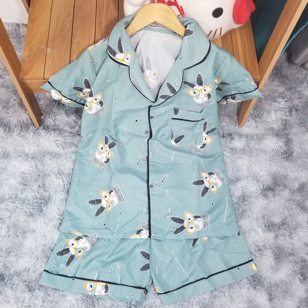 BỘ ĐỒ PIJAMA 💖FREESHIP💖 Bộ mặc nhà nữ mềm mát, hoạ tiết xinh, tay ngắn quần đùi | BigBuy360 - bigbuy360.vn