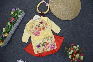 Set bộ áo dài cách tân ( chân váy)